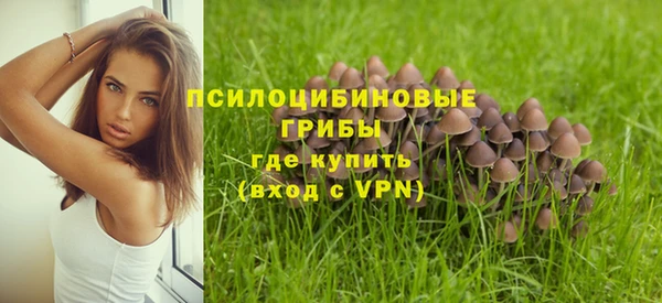 скорость Алзамай
