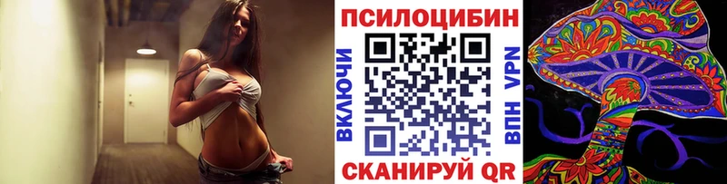 kraken онион  где купить наркоту  Слюдянка  Галлюциногенные грибы Psilocybe 